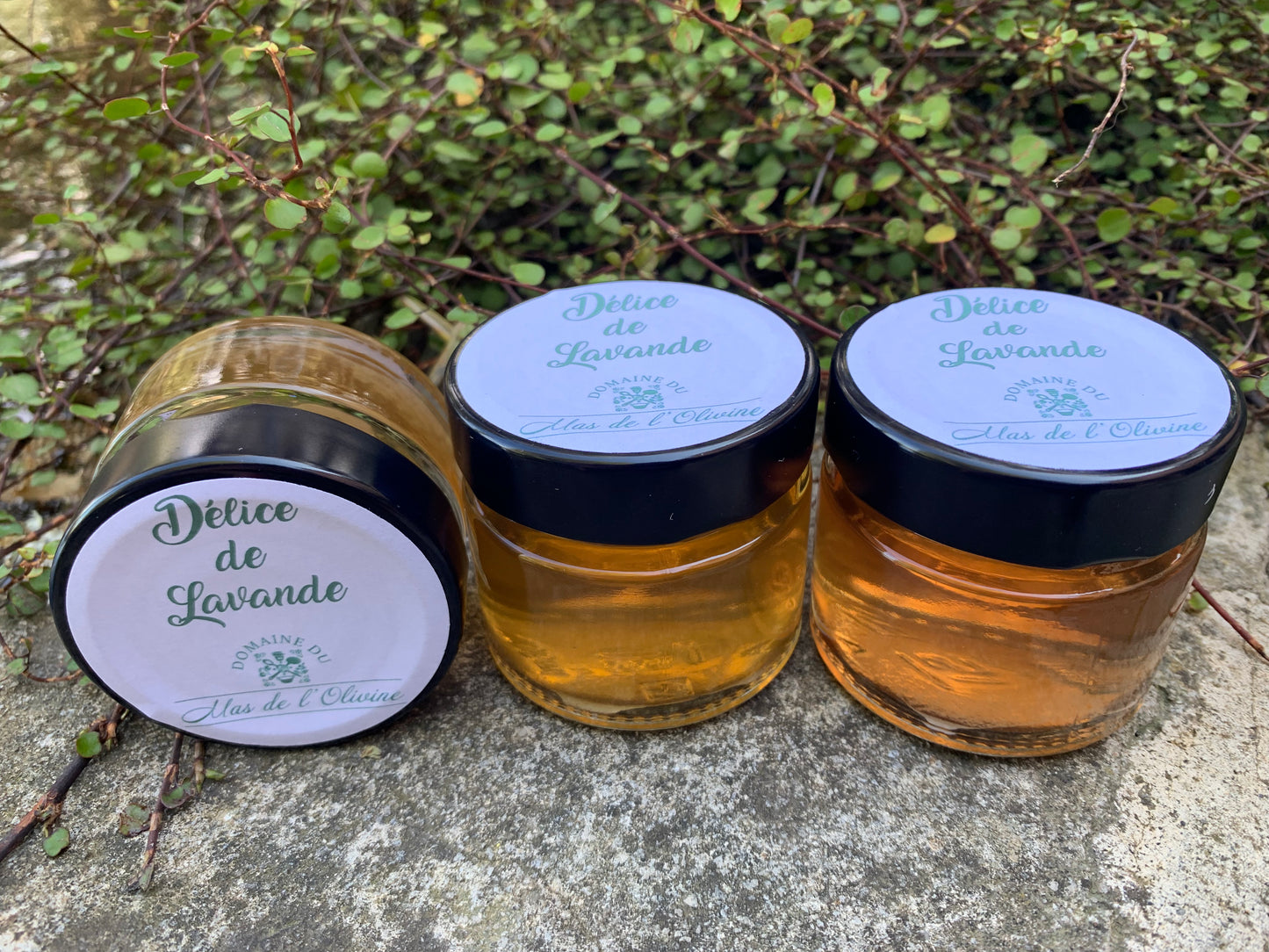 Délice de Lavande (NOUVEAU)