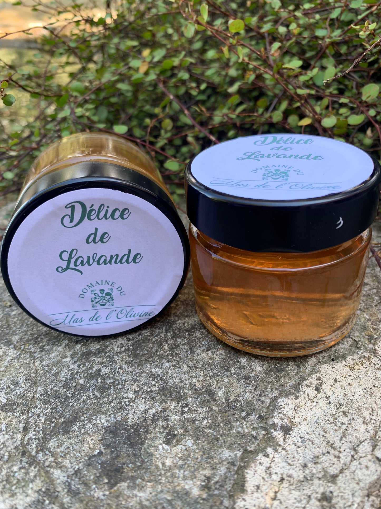 Délice de Lavande (NOUVEAU)