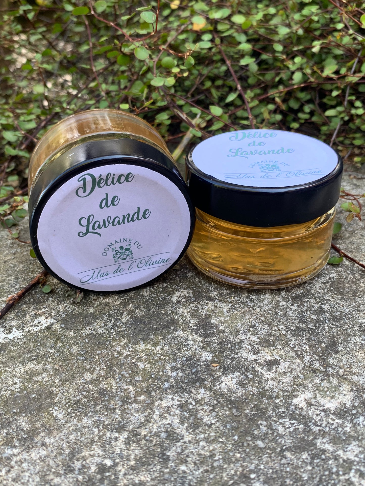 Délice de Lavande (NOUVEAU)