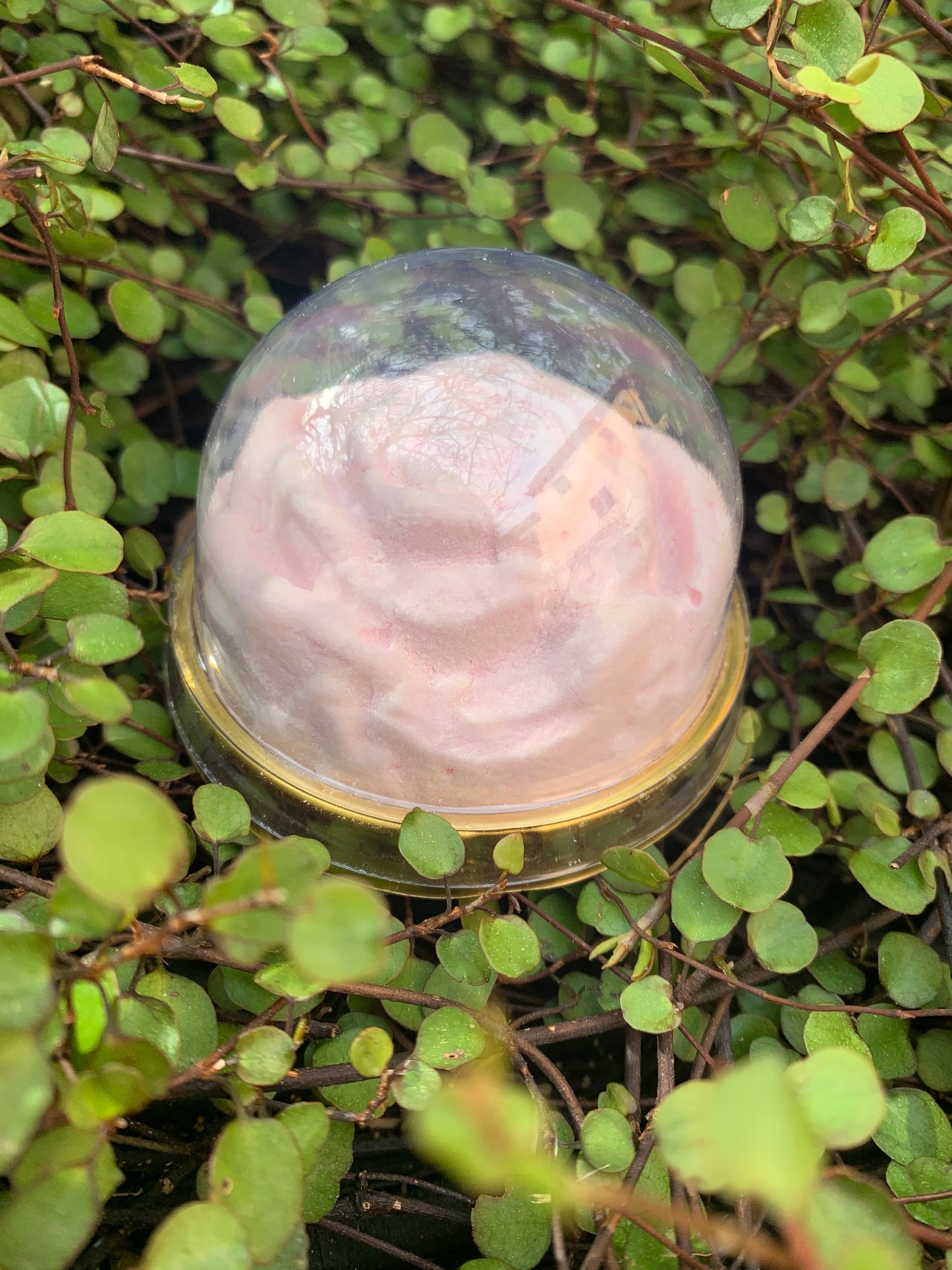 Rose en guimauve à l'eau de Rose Centifolia au coeur surprise