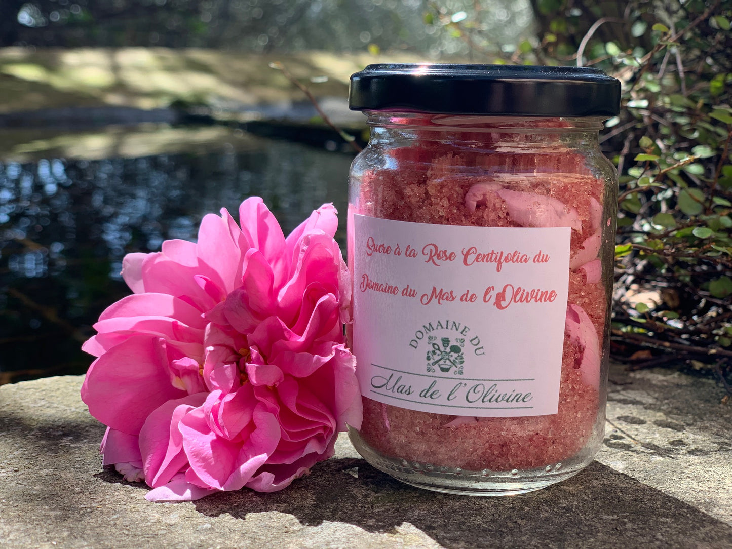 Sucre à la Rose Centifolia