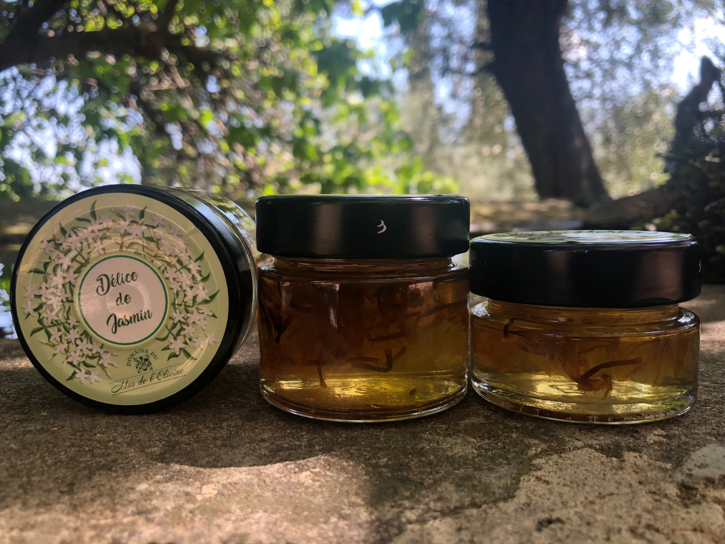 Délice de Jasmin