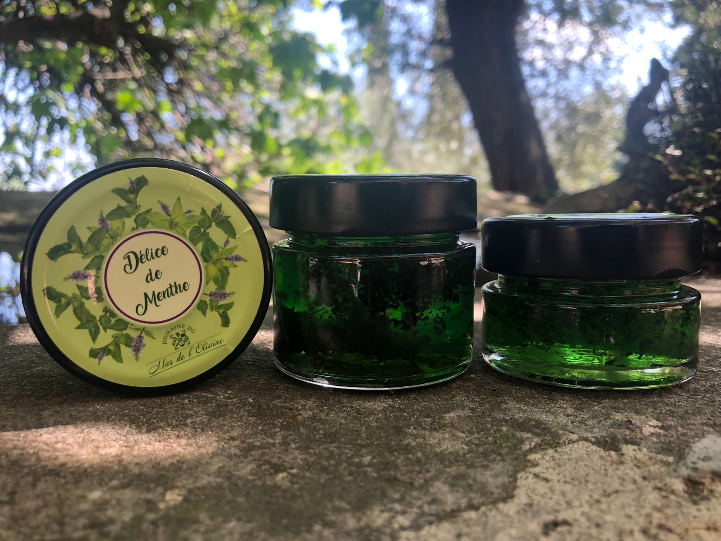 Délice de Menthe