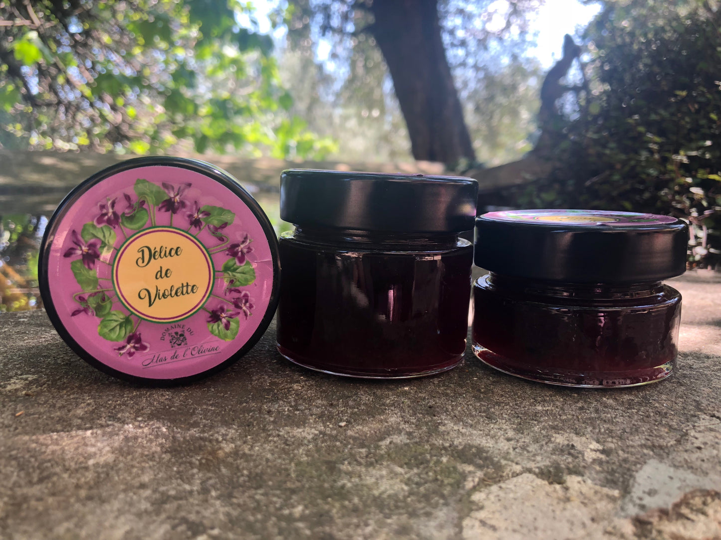 Délice de Violette