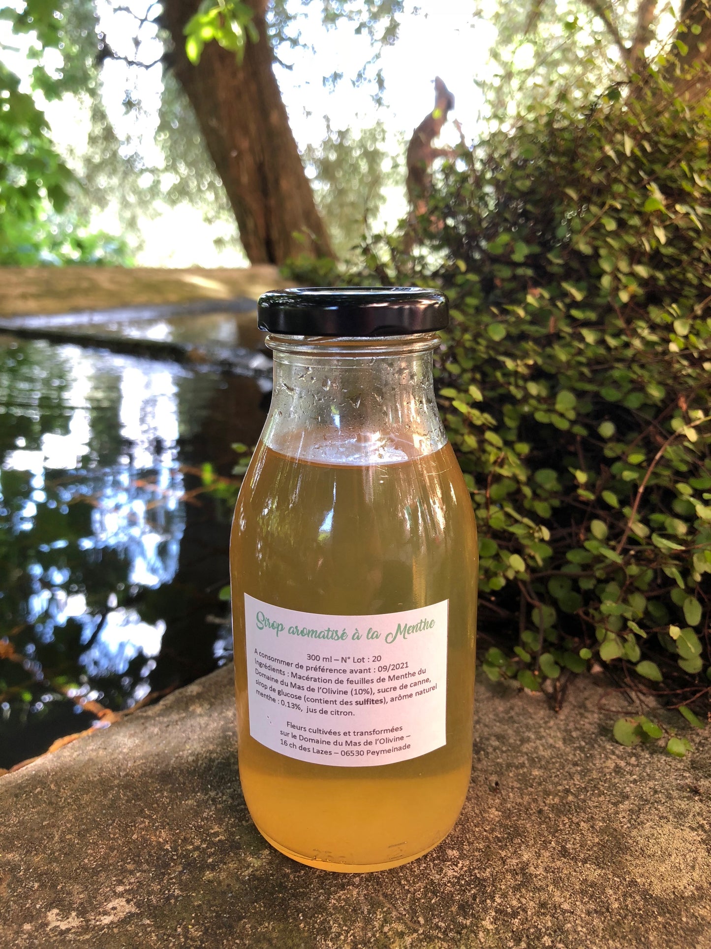 Sirop de Menthe