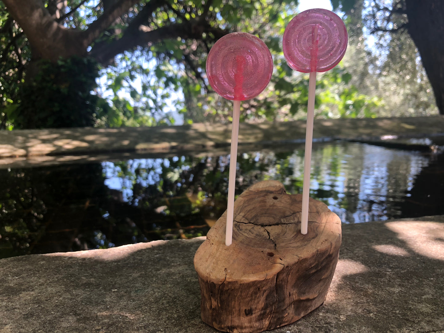 Sucette à la Rose Centifolia